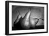 Cayendo-Moises Levy-Framed Photographic Print