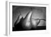 Cayendo-Moises Levy-Framed Photographic Print