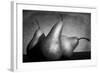 Cayendo-Moises Levy-Framed Photographic Print