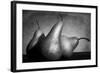 Cayendo-Moises Levy-Framed Photographic Print