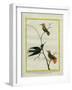 Cayenne Hummingbirds-Georges-Louis Buffon-Framed Giclee Print