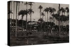 Cayenne. Place des Palmistes-null-Stretched Canvas