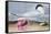 Cayenne Tern-John James Audubon-Framed Stretched Canvas