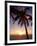 Cayman Island Sunset-George Oze-Framed Photographic Print