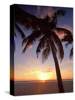 Cayman Island Sunset-George Oze-Stretched Canvas