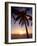 Cayman Island Sunset-George Oze-Framed Photographic Print