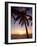 Cayman Island Sunset-George Oze-Framed Photographic Print