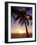 Cayman Island Sunset-George Oze-Framed Photographic Print