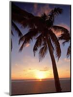 Cayman Island Sunset-George Oze-Mounted Photographic Print