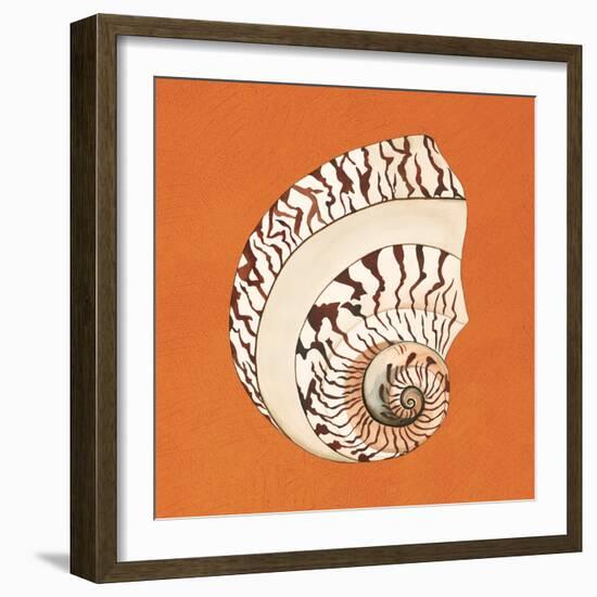 Cayman Quartet B-Judy Shelby-Framed Art Print