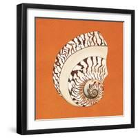 Cayman Quartet B-Judy Shelby-Framed Art Print