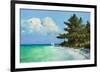 Cayo Costa Beach-Kent Sullivan-Framed Premium Giclee Print