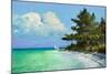 Cayo Costa Beach-Kent Sullivan-Mounted Art Print