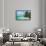 Cayo Costa Beach-Kent Sullivan-Framed Stretched Canvas displayed on a wall