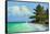 Cayo Costa Beach-Kent Sullivan-Framed Stretched Canvas