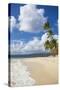 Cayo Levantado, Samana, Eastern Peninsula De Samana, Dominican Republic, West Indies, Caribbean-Jane Sweeney-Stretched Canvas