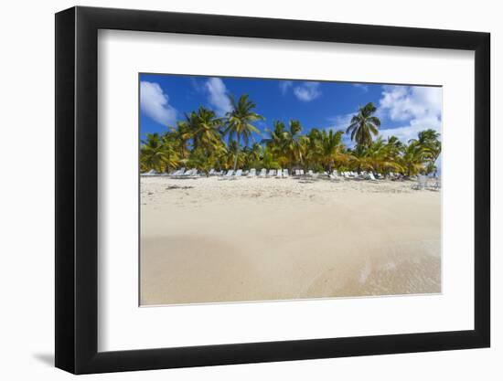 Cayo Levantado, Samana, Eastern Peninsula De Samana, Dominican Republic, West Indies, Caribbean-Jane Sweeney-Framed Photographic Print