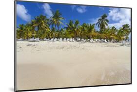 Cayo Levantado, Samana, Eastern Peninsula De Samana, Dominican Republic, West Indies, Caribbean-Jane Sweeney-Mounted Photographic Print