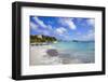 Cayo Levantado, Samana, Eastern Peninsula De Samana, Dominican Republic, West Indies, Caribbean-Jane Sweeney-Framed Photographic Print