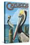 Cayucos, California - Pelicans-Lantern Press-Stretched Canvas