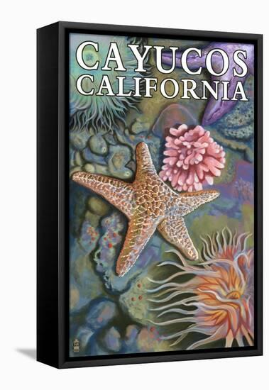 Cayucos, California - Tidepool-Lantern Press-Framed Stretched Canvas