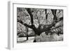 Cayucos I-Lee Peterson-Framed Photographic Print