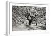 Cayucos II-Lee Peterson-Framed Photographic Print