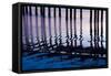 Cayucos Night-Lee Peterson-Framed Stretched Canvas