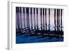 Cayucos Night-Lee Peterson-Framed Photo