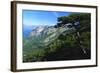 Cazorla National Park, Sierra Del Pozo, Andalucia, Spain-Duncan Maxwell-Framed Photographic Print