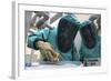 Cbrn Defense Specialists Check a Barrel for Contamination-null-Framed Photographic Print