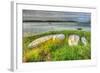 CC Boats and Bulkhead-Robert Goldwitz-Framed Photographic Print