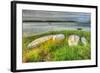 CC Boats and Bulkhead-Robert Goldwitz-Framed Photographic Print