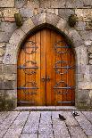 Beautiful Old Wooden Door with Iron Ornaments in a Medieval Castle-ccaetano-Framed Photographic Print