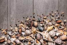 Large Group of Conchs and Shells over a Wooden Background-ccaetano-Photographic Print