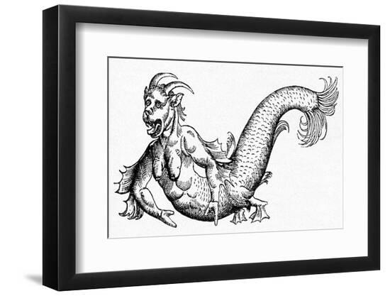 Photographic Print, , large
