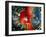 CDF Particle Detector, Fermilab-David Parker-Framed Premium Photographic Print