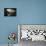 Cdg-Sebastien Lory-Photographic Print displayed on a wall