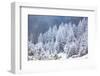 Ceahlau Massif in winter, Eastern Carpathians, Neamt County, Moldavia, Romania, Europe-Nagy Melinda-Framed Photographic Print