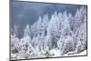 Ceahlau Massif in winter, Eastern Carpathians, Neamt County, Moldavia, Romania, Europe-Nagy Melinda-Mounted Photographic Print