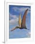 Cearadactylus Atrox, a Large Pterosaur from the Cretaceous Period-null-Framed Art Print