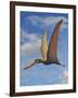 Cearadactylus Atrox, a Large Pterosaur from the Cretaceous Period-null-Framed Art Print