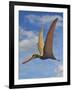 Cearadactylus Atrox, a Large Pterosaur from the Cretaceous Period-null-Framed Art Print