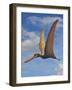 Cearadactylus Atrox, a Large Pterosaur from the Cretaceous Period-null-Framed Art Print