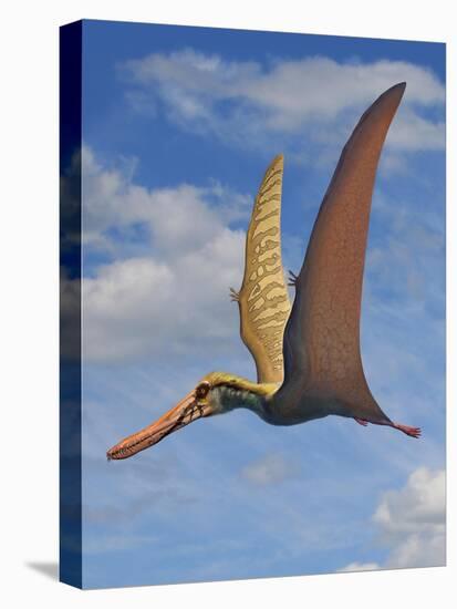 Cearadactylus Atrox, a Large Pterosaur from the Cretaceous Period-null-Stretched Canvas