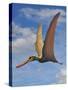 Cearadactylus Atrox, a Large Pterosaur from the Cretaceous Period-null-Stretched Canvas