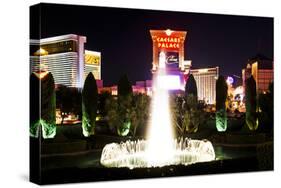 Ceasars Palace - hotel - Casino - Las Vegas - Nevada - United States-Philippe Hugonnard-Stretched Canvas