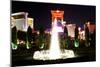 Ceasars Palace - hotel - Casino - Las Vegas - Nevada - United States-Philippe Hugonnard-Mounted Photographic Print