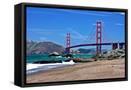 Framed Canvas