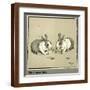 Brown Frame